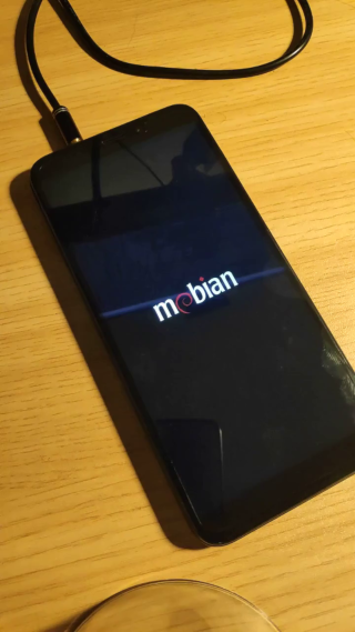 PinePhone Pro booting Mobian